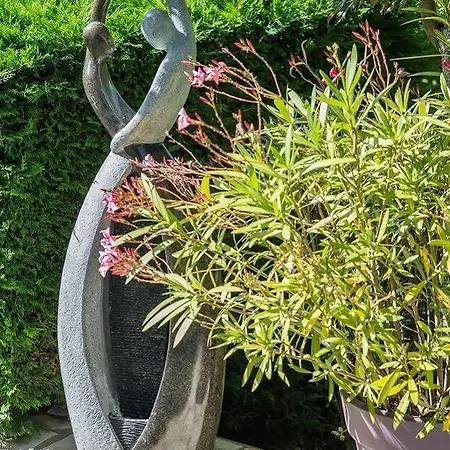 לינה וארוחת בוקר Les Orchidees A 3*